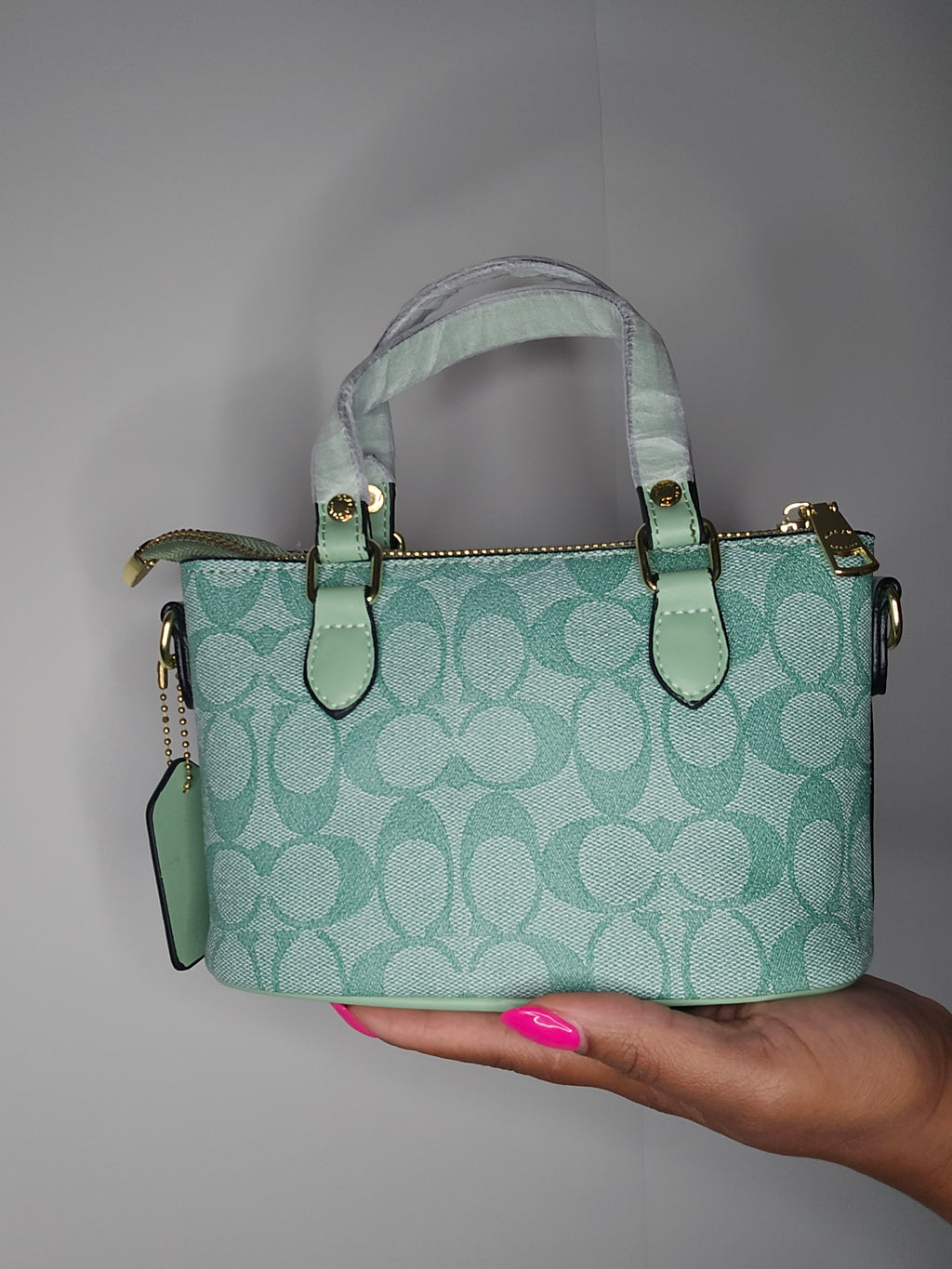Coach Mint Mini