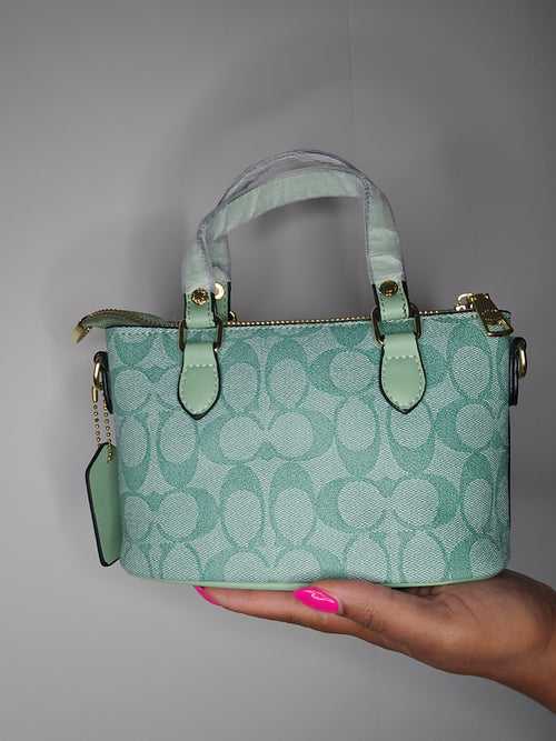 Coach Mint Mini