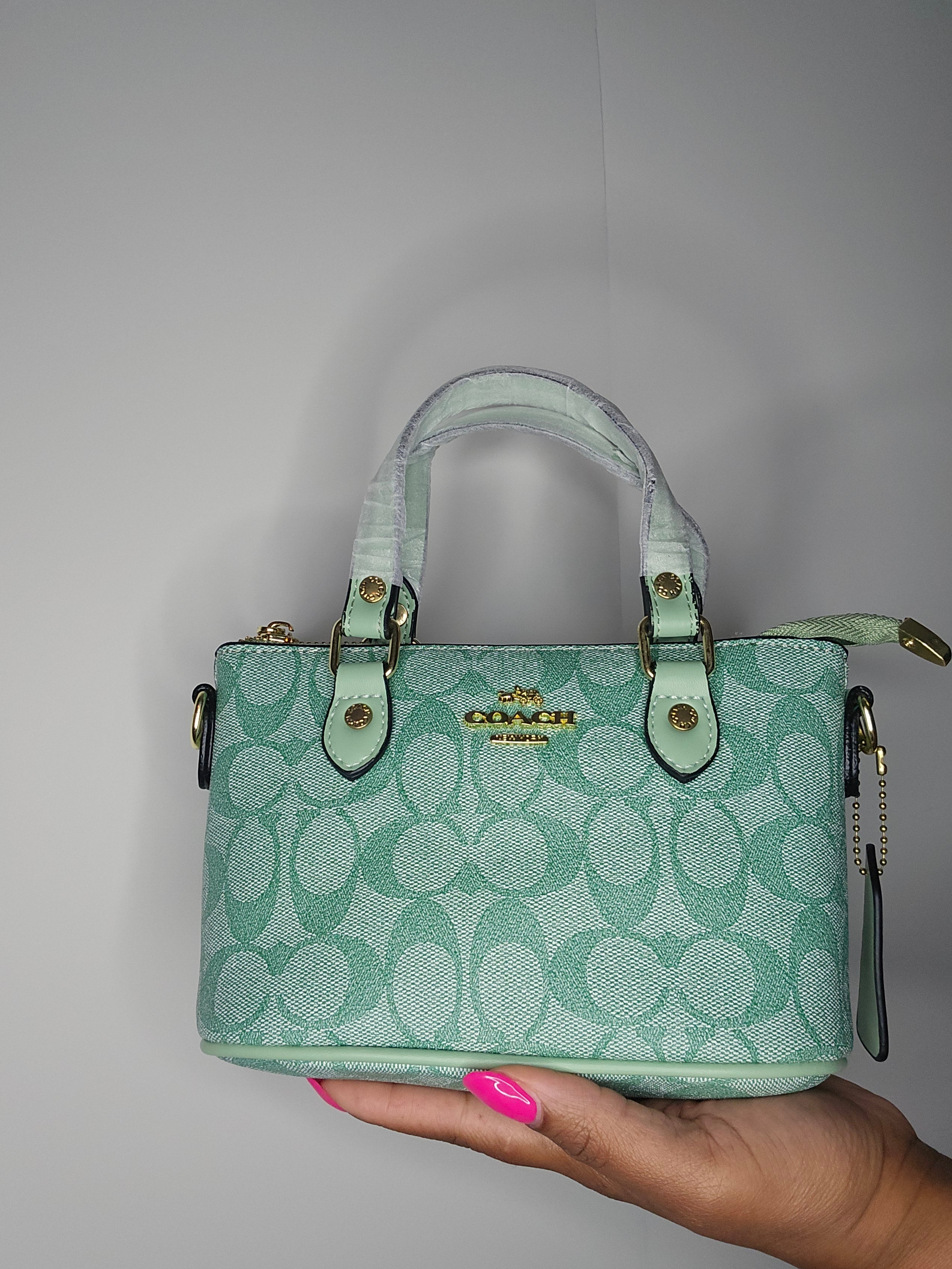 Coach Mint Mini